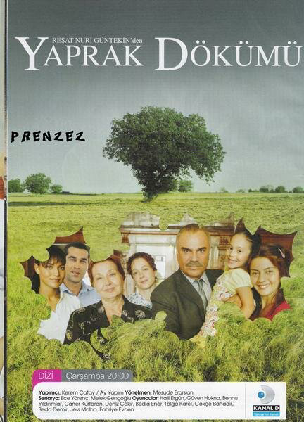 Листопад 2006 постер